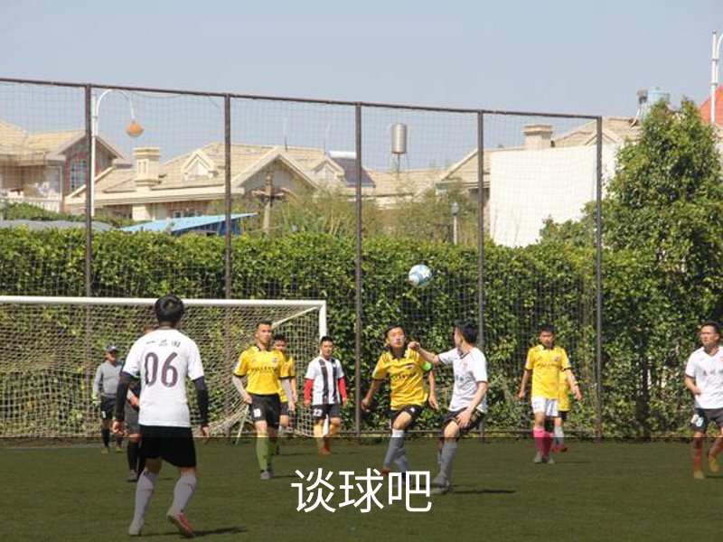 谈球吧概况